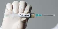 Vacina da dengue começará a ser aplicada pelo SUS em fevereiro  Foto: iStock
