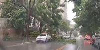 Chuva causa alagamentos e queda de árvores em regiões de SP  Foto: TV Globo