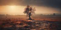 Como um deserto pode estar se formando no Nordeste do Brasil  Foto: Freepik