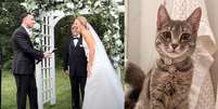 Nos EUA, gata invade casamento e &eacute; adotada pelos noivos: "Amorosa e carinhosa"  Foto: Matt and Cara Hamdan / Bons Fluidos