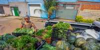 Escolha de alimentos da nova cesta básica também tem como objetivo gerar renda para pequenos produtores rurais  Foto: Reprodução/Roberta Aline/ MDS