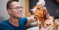 Alguns cuidados são importantes para evitar pulgas e carrapatos no cachorro  Foto: Jaromir Chalabala | Shutterstock / Portal EdiCase