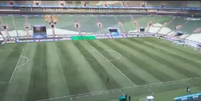 FOTO: Reprodu&ccedil;&atilde;o/Internet - Legenda: Palmeiras n&atilde;o joga em seu est&aacute;dio h&aacute; mais de um m&ecirc;s  Foto: Jogada10