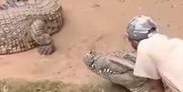 Crocodilo ataca tratador durante apresentação em zoológico na África do Sul  Foto: Reprodução/Redes Sociais