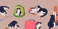 Os itens para gatos facilitam o dia a dia e garantem bem-estar aos felinos  Foto: GoodStudio | Shutterstock / Portal EdiCase