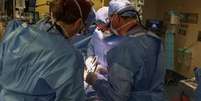 Brasileiro comandou a primeira cirurgia de transplante de um rim de porco em uma pessoa viva  Foto: Divulgação/Massachussets General Hospital