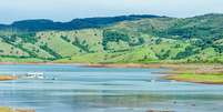 Imagem de um lago que está passando por assoreamento.  Foto: vbacarin / iStock