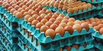 Bandejas de ovos  Foto: Davi Piaia/iStock