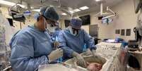 Antes de fechar a caixa, cirurgiões ajustam fígado no sistema que vai mantê-lo vivo fora do corpo (Imagem: Divulgação/Northwestern Medicine)  Foto: Canaltech