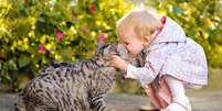Gatos e crianças podem viver em harmonia  Foto: Shutterstock / Alto Astral