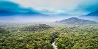 Junto a avanços importantes em comunidades que não tinham internet, expansão da Starlink na Amazônia também impulsiona atividades ilegais, apontam autoridades Foto: Getty Images / BBC News Brasil