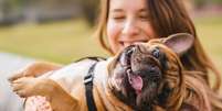 Aprenda a lidar com o cão adolescente  Foto: Shutterstock / Alto Astral