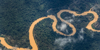 Forças Armadas combatem garimpo na Terra Indígena Yanomami  Foto: Fernando Frazão/Agência Brasil