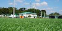 Coxa venceu segunda atividade no CT da Graciosa. Foto: Divulgação/Coritiba / Banda B