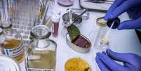 Cientista analisa uma amostra de uma lata de alimentos enlatados, um dos causadores de infecção por botulismo  Foto: digicomphoto/iStock