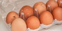 Veja como saber se um ovo está estragado  Foto: Shutterstock / Alto Astral