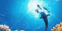 Endless Ocean Luminous é divertido mergulho no Nintendo Switch Foto: Reprodução / Nintendo