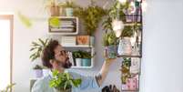 Cuidar de plantas em casa pode ser simples com alguns hábitos  Foto: pikselstock | Shutterstock / Portal EdiCase