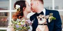 Com treinamento, incluir os cachorros na cerim&ocirc;nia de casamento se torna uma tarefa simples  Foto: Deep_Mind | Shutterstock / Portal EdiCase