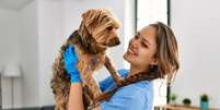 Comportamentos incomuns indicam que os animais de estimação precisam visitar o veterinário  Foto: Krakenimages.com | Shutterstock / Portal EdiCase
