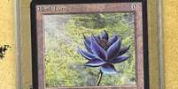 Carta Black Lotus da impressão original do primeiro conjunto de Magic é a mais cara já vendida até hoje Foto: Reprodução / cgccards