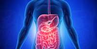 Sintomas de câncer no intestino  Foto: Shutterstock / Saúde em Dia