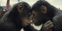 Planeta dos Macacos: O Reinado  Foto: 20th Century Studios/Divulgação