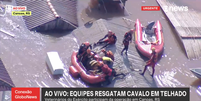 Cavalo flagrado ilhado em telhado de casa no RS é resgatado por bombeiros  Foto: Reprodução/TV Globo