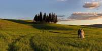 Ciprestes enfileirados, campos de girassóis, vilarejos... Na Toscana, não faltam cenários espetaculares para dizer 'sim'  Foto: Nicola Pezza/Pixabay / Viagem e Turismo