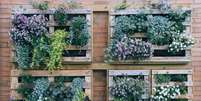 O jardim vertical traz mais vida para a decoração  Foto: lulu and isabelle | Shutterstock / Portal EdiCase