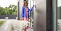 Entenda regra sobre cachorros em apartamento  Foto: Shutterstock / Alto Astral