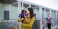 Toda ajuda é importante para que os abrigos de animais continuem funcionando  Foto: hedgehog94 | Shutterstock / Portal EdiCase