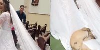 Cachorro caramelo invade casamento em igreja, deita e rola em vestido de noiva  Foto: Reprodução/Instagram:@mairecalegari
