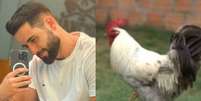 Galo Jubileu, animal de estimação de Matteus, é furtado da residência de Dona Neuza  Foto: @bahmatteus e @lucianesamaral Via Instagram / Estadão