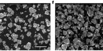 Em laboratório, diamantes são produzidos em 15 minutos (Imagem: Gong et al., 2024/Nature)  Foto: Canaltech