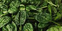Espinafre é um vegetal versátil repleto de nutrientes  Foto: Shutterstock / Alto Astral