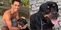 Cauã Reymond em foto com seu cachorro, Romeu, que morreu por envenenamento  Foto: Reprodução/Instagram / Márcia Piovesan