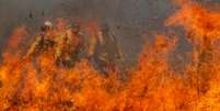 Incêndios e número recorde castigam o Pantanal  Foto: Joédson Alves/Agência Brasil / Perfil Brasil