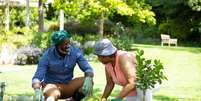 As plantas necessitam de cuidados especiais no inverno  Foto: wavebreakmedia | Shutterstock / Portal EdiCase