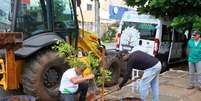 Disque-árvore em Goiânia é sucesso desde o lançamento Foto: Divulgação/Amma-GO
