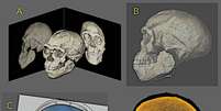 A reconstrução da aparência do Homo sapiens mais antigo do mundo foi feita com modelos computacionais de seu crânio (Imagem: Moraes/OrtogOnlineMag/CC-BY-4.0)  Foto: Canaltech