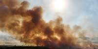 Incêndios no Pantanal bateram recorde neste mês  Foto: Ueslei Marcelino/Reuters / BBC News Brasil