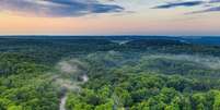 Amazônia, bioma brasileiro  Foto: Pexels | Banco gratuito de imagens