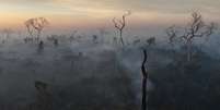 Uma visão de drone mostra a fumaça de um incêndio subindo no ar enquanto árvores queimam entre a vegetação do Pantanal, em Corumbá, estado de Mato Grosso do Sul, Brasil, 11 de junho de 2024.  Foto: Reuters/Ueslei Marcelino