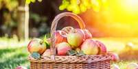 A maçã oferece diversos benefícios para a saúde  Foto: Valentyn Volkov | Shutterstock / Portal EdiCase