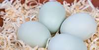 Aprenda a fazer simpatias com ovo para melhorar sua vida amorosa  Foto: Shutterstock / Alto Astral