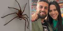 Casal de brasileiros encontra aranha gigante na Austrália Foto: Reprodução/Instagram/@ocasalsemraiz
