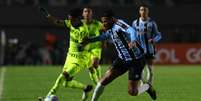 Grêmio recebeu o Palmeiras em Caxias do Sul  Foto: Esporte News Mundo