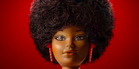 Black Barbie lançada em 1980 foi inspirada na cantora Diana Ross  Foto: Divulgação/Netflix