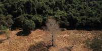 Período de estiagem na Amazônia se estendeu, ao mesmo tempo em que a estação seca se adiantou  Foto: Amanda Perobelli/Reuters / BBC News Brasil